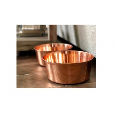 Dog and Pets Feeding Bowl